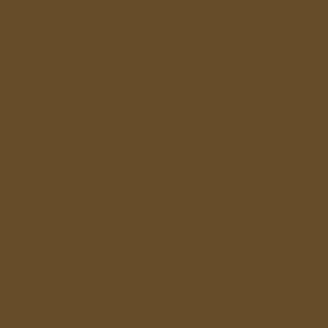 foto color Burro marrón
