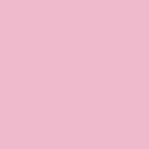 foto color Cameo rosa