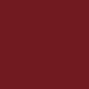 foto color Ciruela pérsico